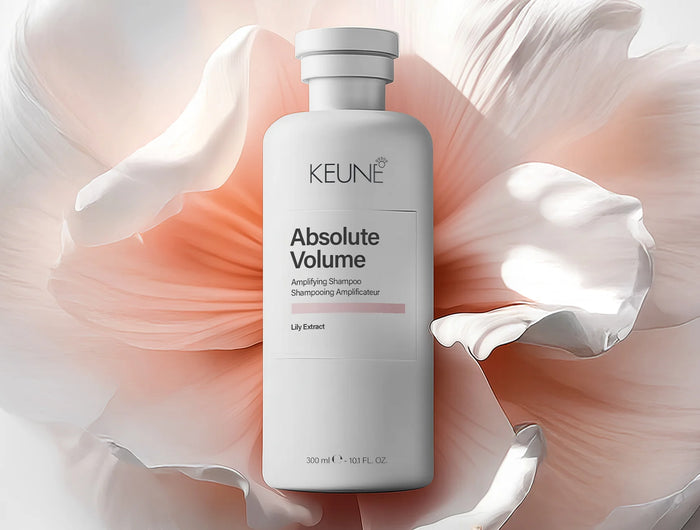 <h2>Lift fijn haar en geeft het volume</h2>