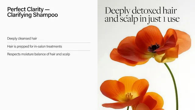 Keune Keune Care Perfect Clarity Shampoo