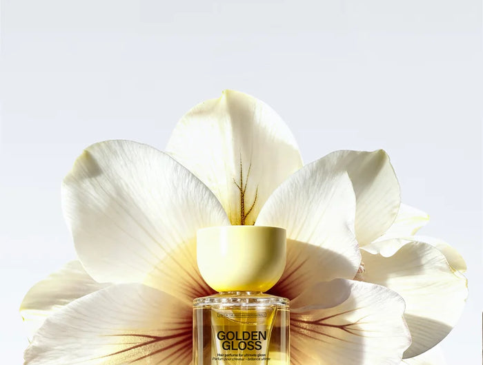 <p>De revolutie van professionele haarstyling</p>