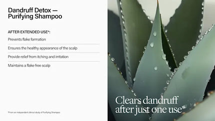 Keune Keune Care Dandruff Detox Shampoo