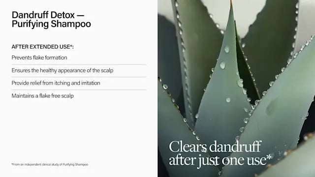 Keune Keune Care Dandruff Detox Shampoo
