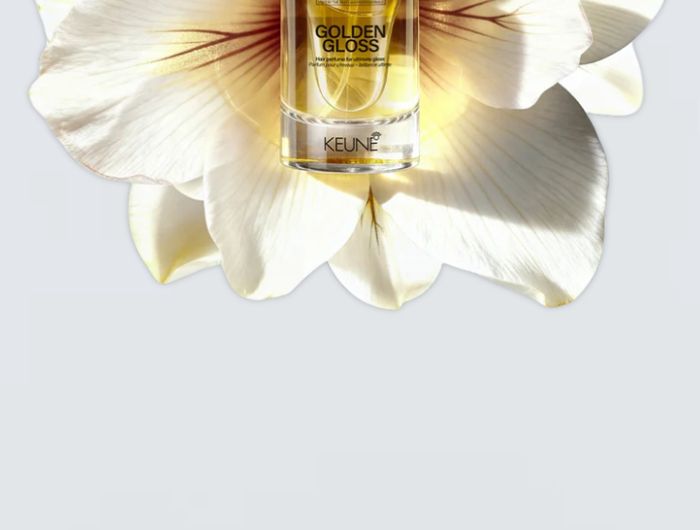 <h3><strong>NIEUW:</strong></h3>